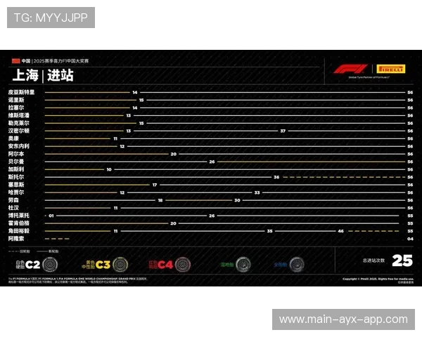 赛车赛季历史记录与亮点数据化分析